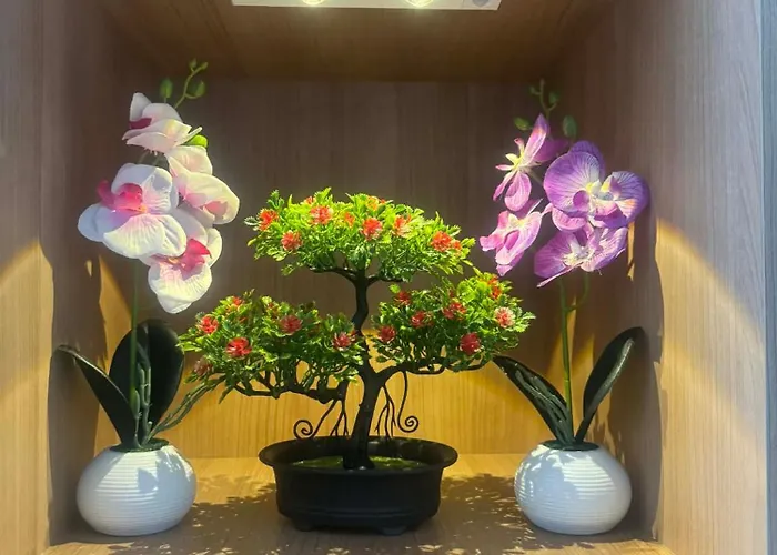 アパート Cebu Cozystay *