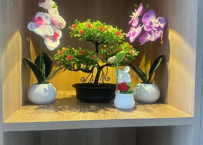 アパート Cebu Cozystay *